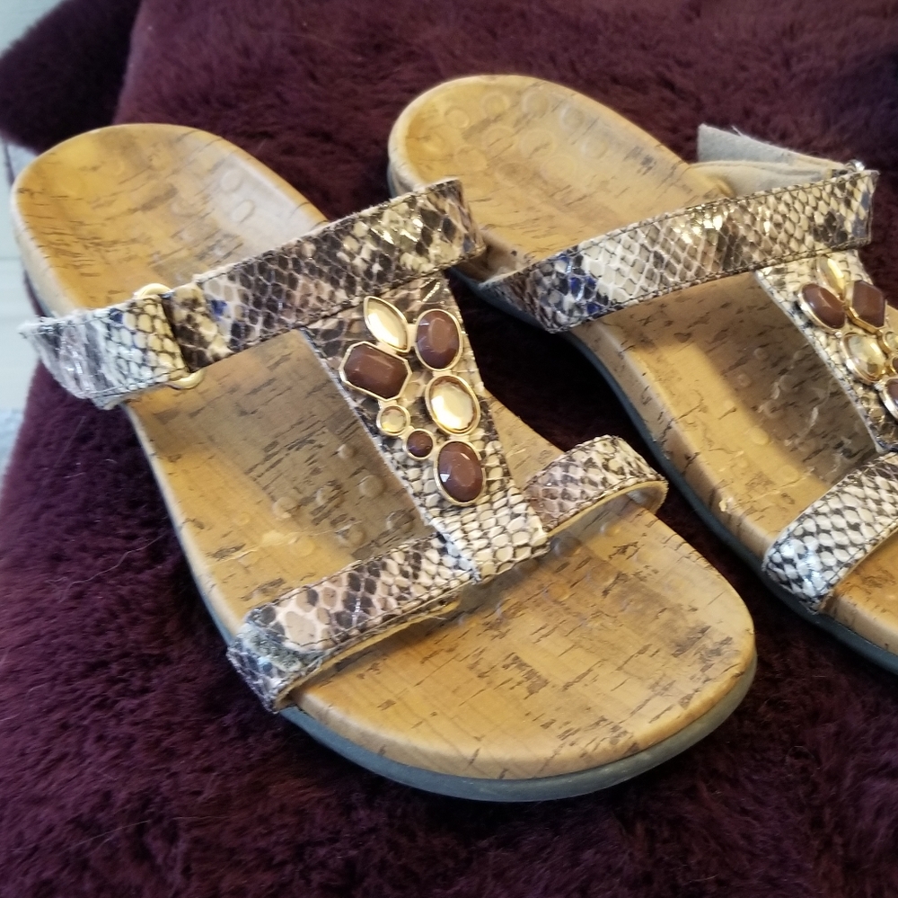 Vionic slides